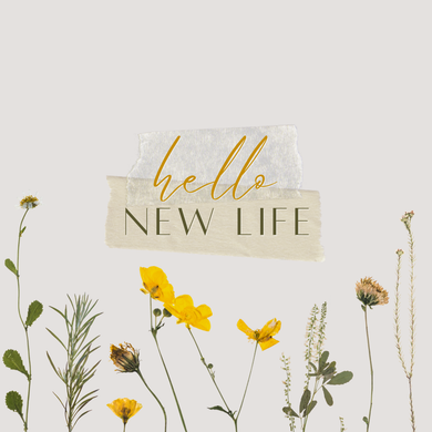 Hello New Life: Finding Hope, Healing And Happiness After Divorce